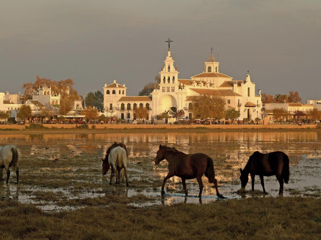 Alojamiento Rural Flamingo El Rocío Buitenkant foto